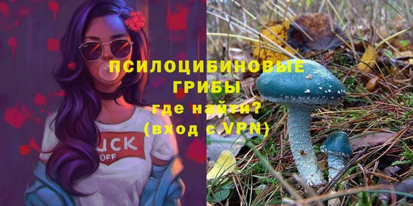 ALPHA PVP Балахна