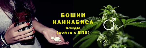 ГАЛЛЮЦИНОГЕННЫЕ ГРИБЫ Беломорск