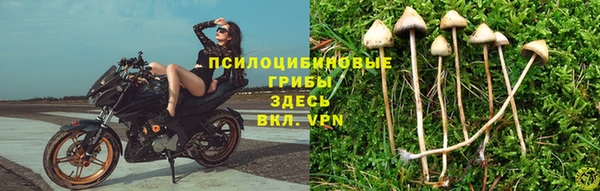 метадон Баксан