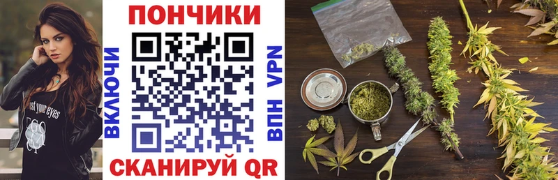 что такое   Семикаракорск  Бошки Шишки конопля 